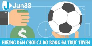 Giới Thiệu Về Cá Độ Bóng Đá